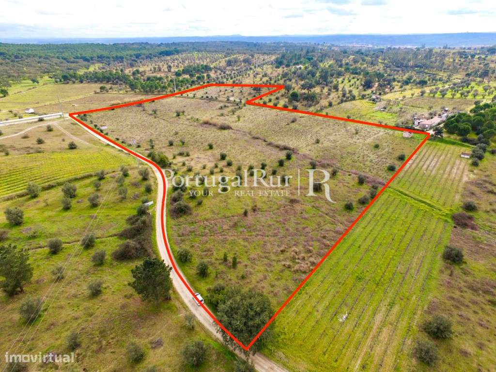 Vinhas do Cabeção - 7,175 hectares - Grande imagem: 4/18