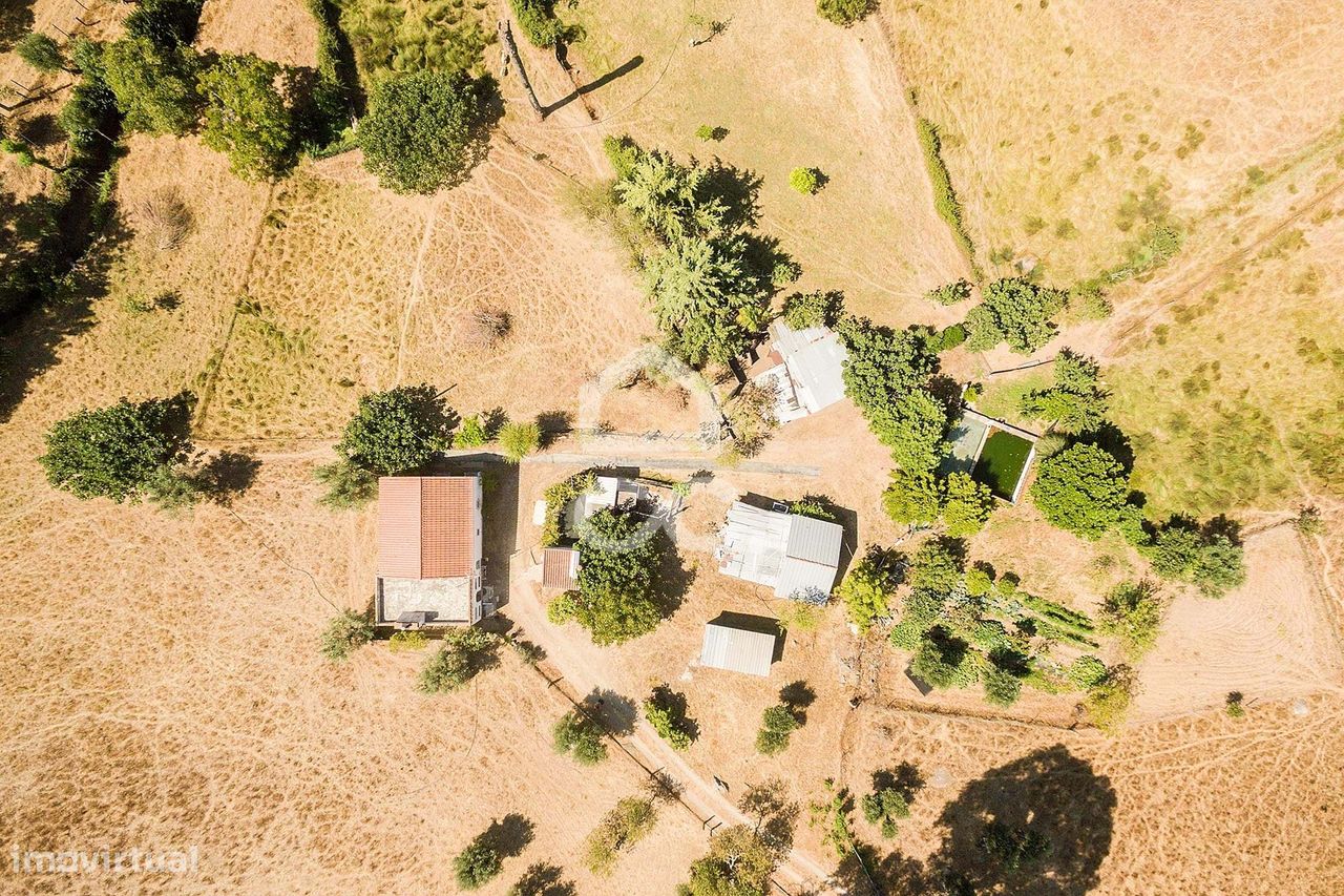 Quinta de 6,7 ha e moradia térrea T3 | Arraiolos - Grande imagem: 1/60