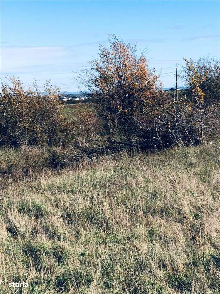 RECO Teren intravilan Cihei - Imagine principală: 3/5