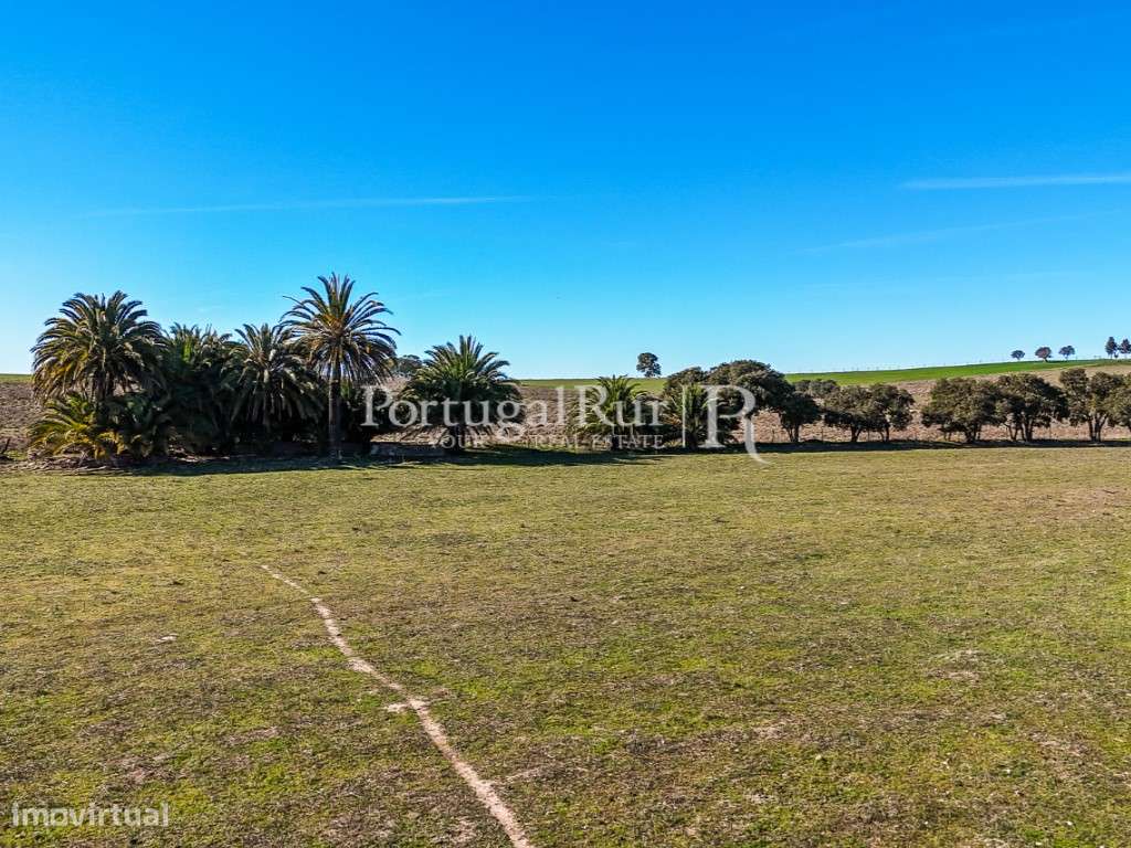 Quinta de 7 hectares com ruínas e potencial turístico - Grande imagem: 5/13