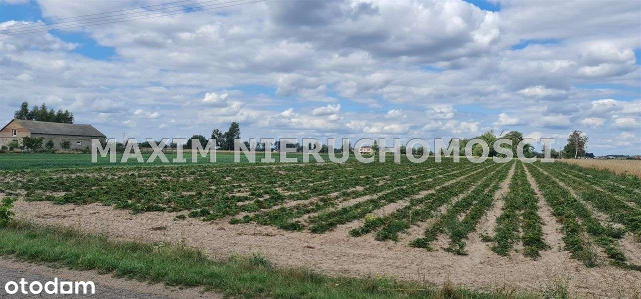 Piękne działki w Januszewie gm. Naruszewo - Pełny obrazek: 4/10