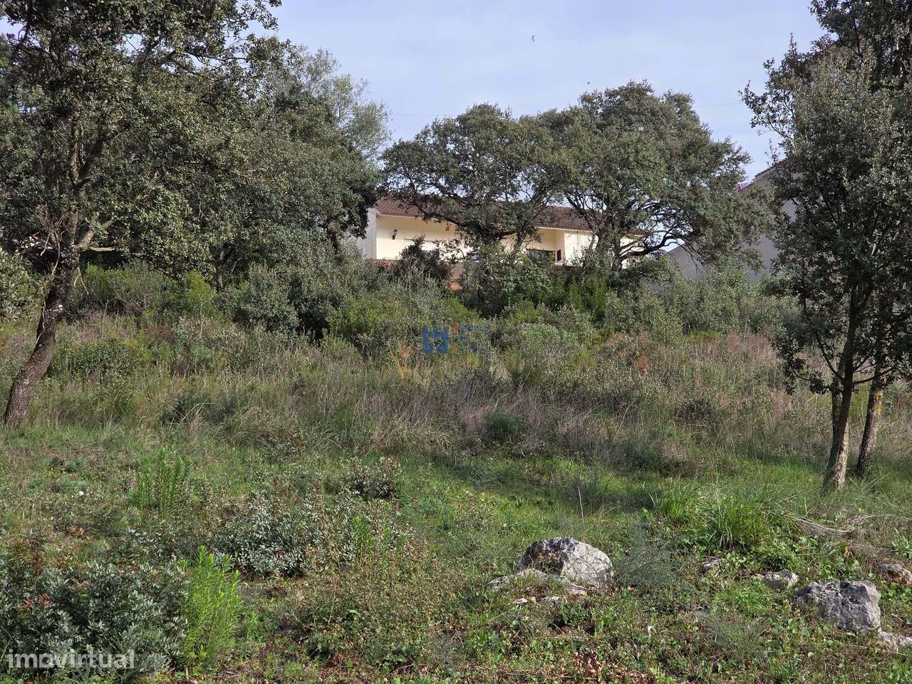 Lotes de terreno em Minde-8