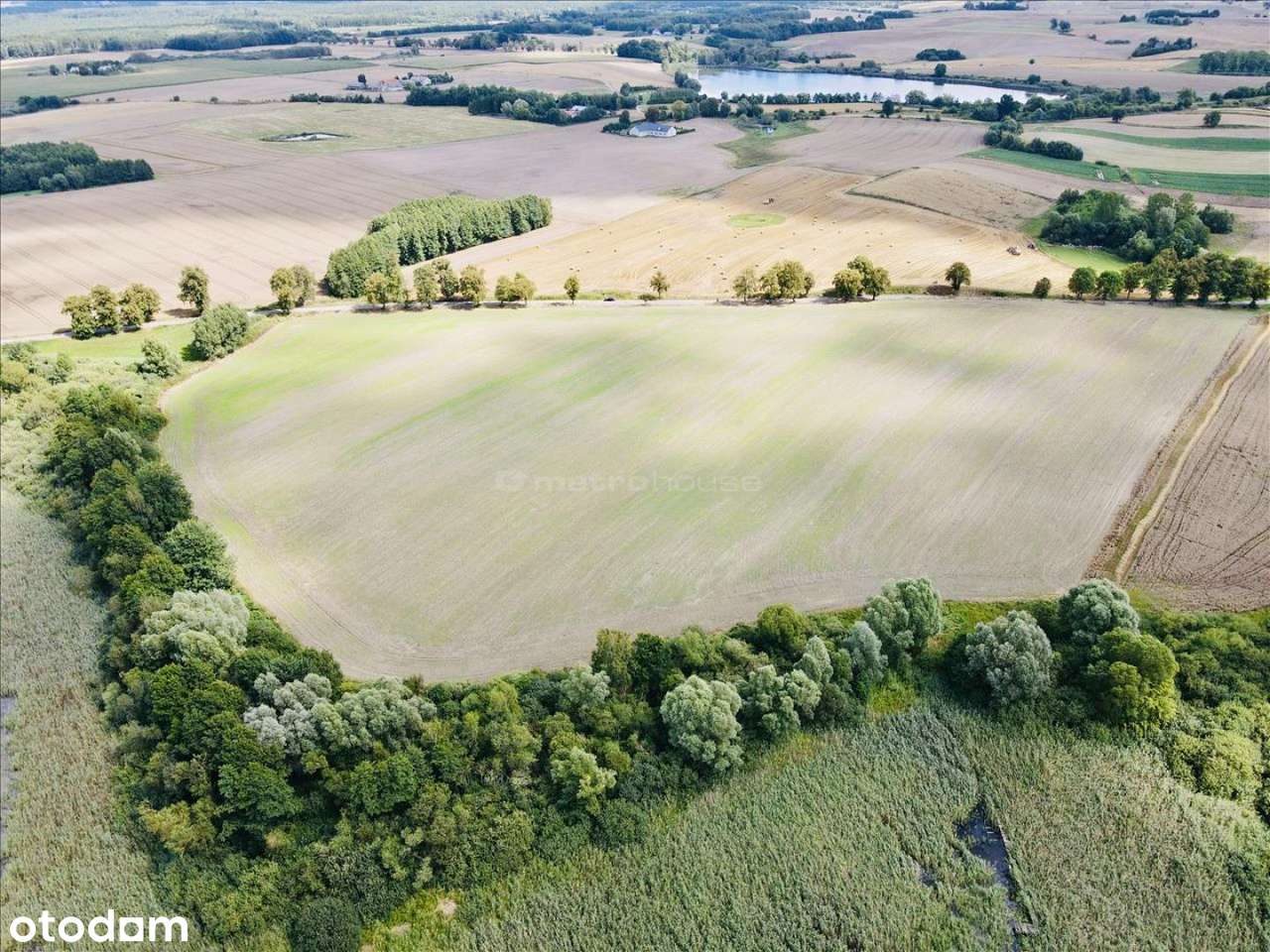 Unikalna Działka nad Jeziorem w Goryniu - Pełny obrazek: 5/6