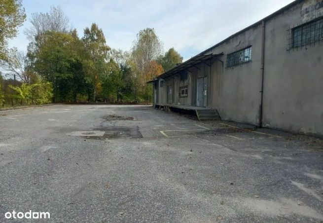 Hala 240 m2+ plac utwardzony 1200m2 skład baza