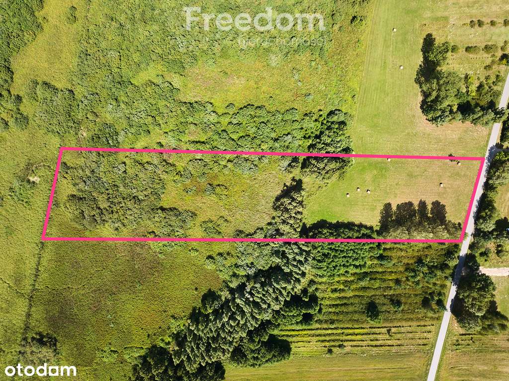 Działka w Żalinie, warunki zabudowy. - Pełny obrazek: 2/11