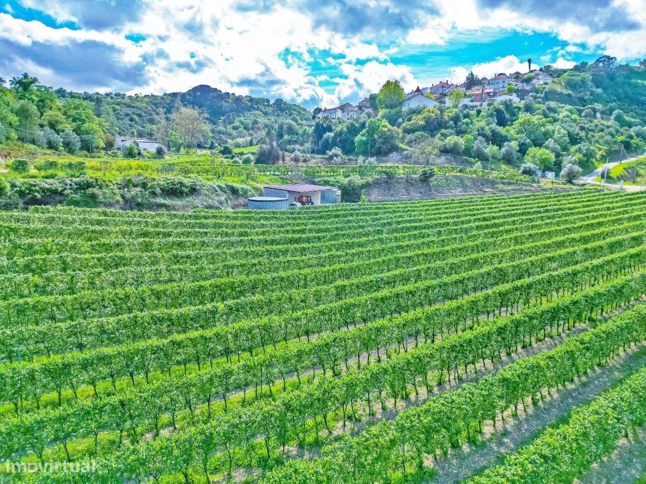 Terreno com 93.320 m2 - Grande imagem: 5/14