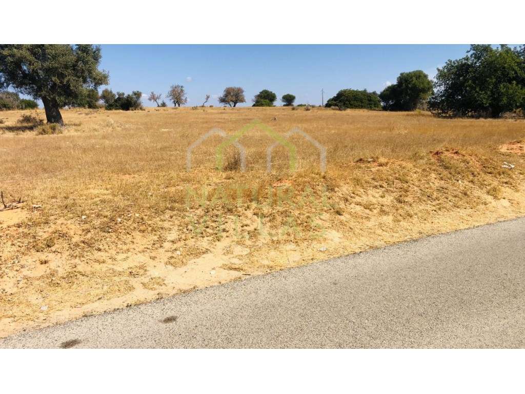 Terreno Rústico de 2ha na Guia, Albufeira - Grande imagem: 4/6