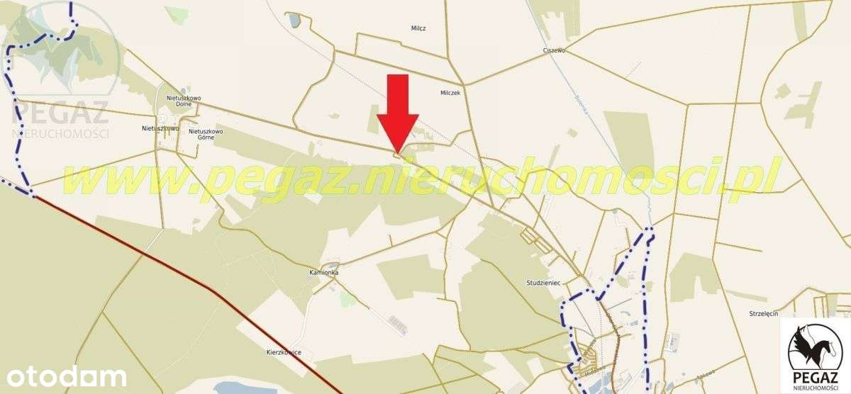 Działka rolna na skraju zabudowy w Milczu k. - Pełny obrazek: 5/10