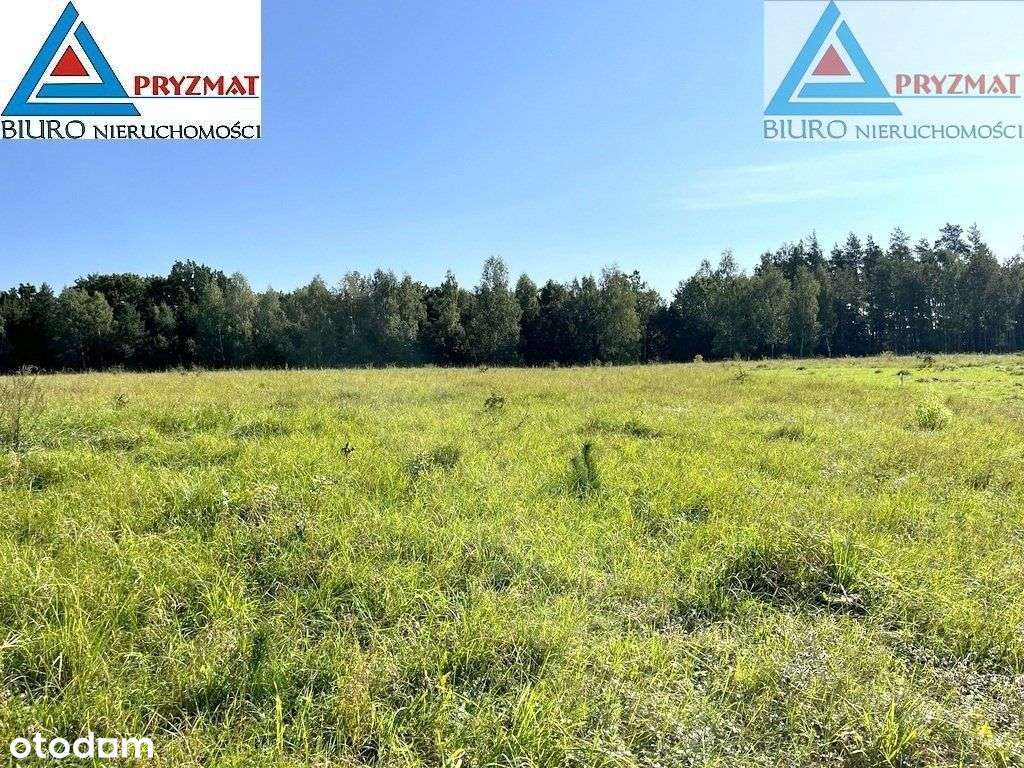 Działki do sprzedaży - Maruny gmina Barczewo-3