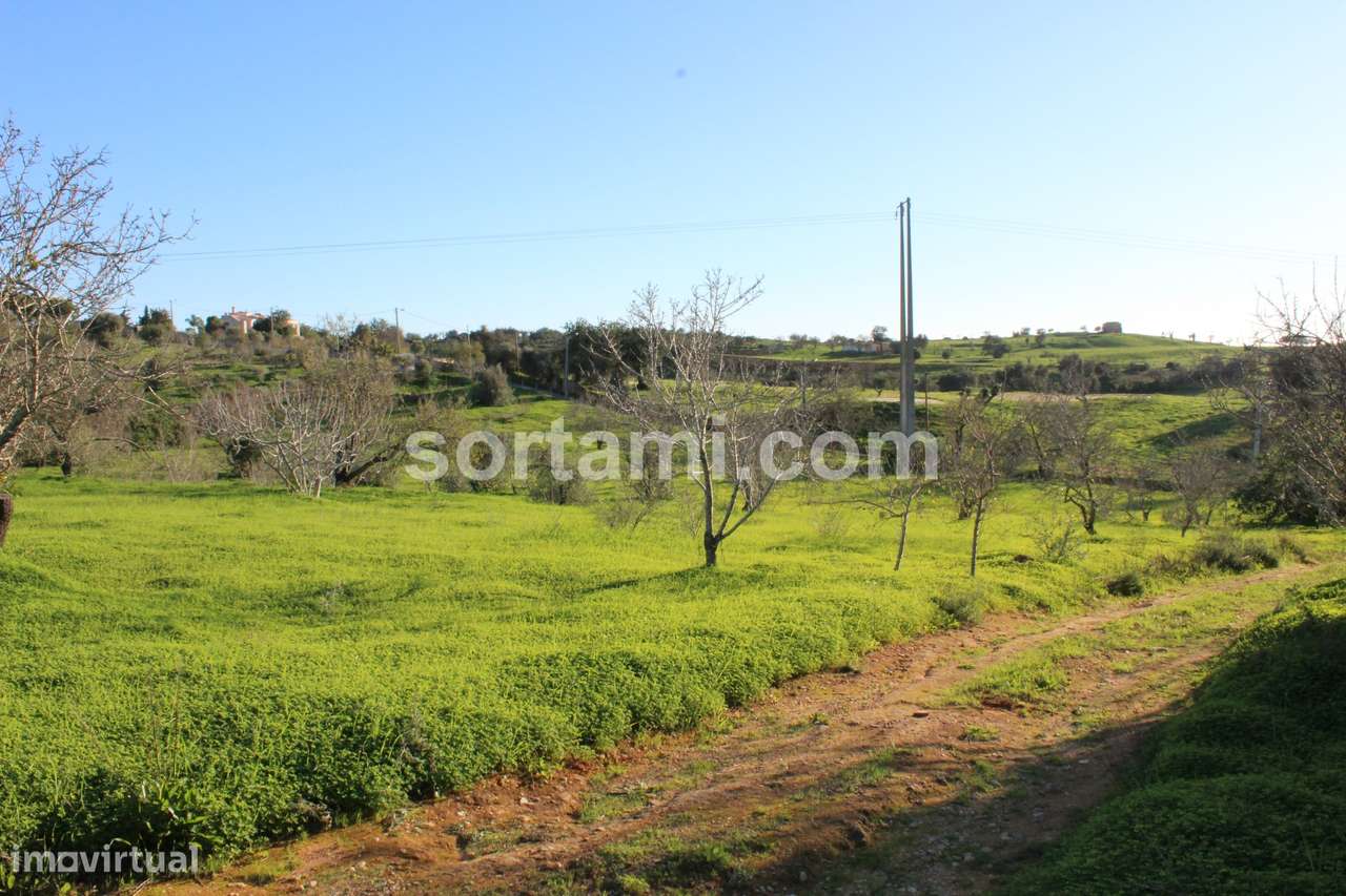 Terreno Rústico  Venda em Estômbar e Parchal,Lagoa (Algarve) - Grande imagem: 2/7