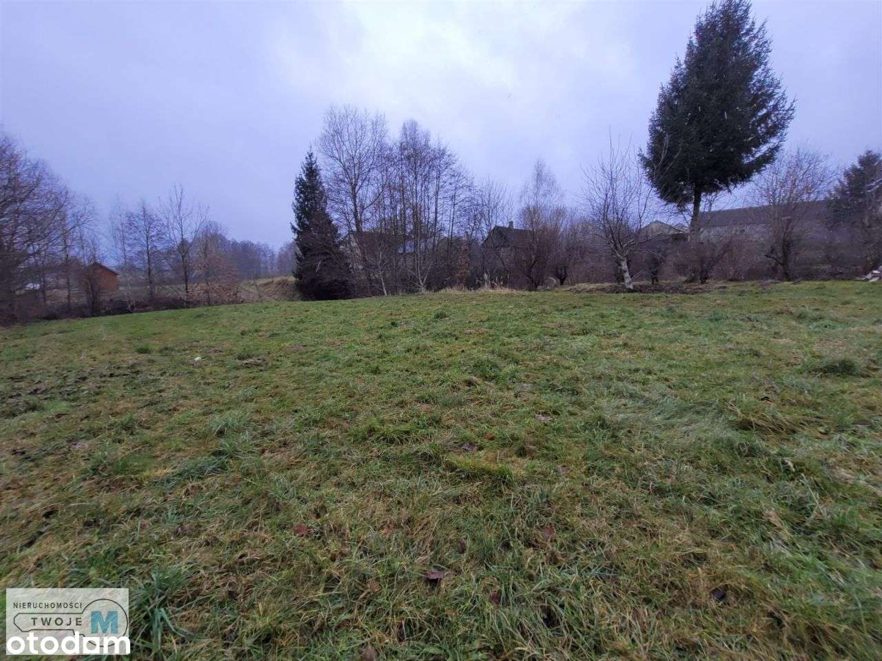 Piękna działka z ogromnym potencjałem k.Bodzentyn - Pełny obrazek: 2/12