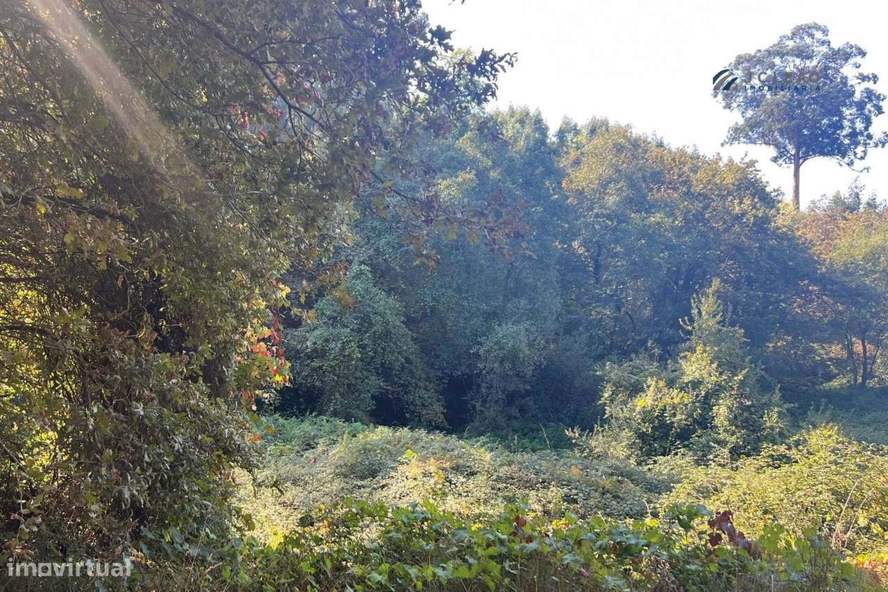 Terreno Agrícola 10.400 m² – Rebordosa, Paredes-6