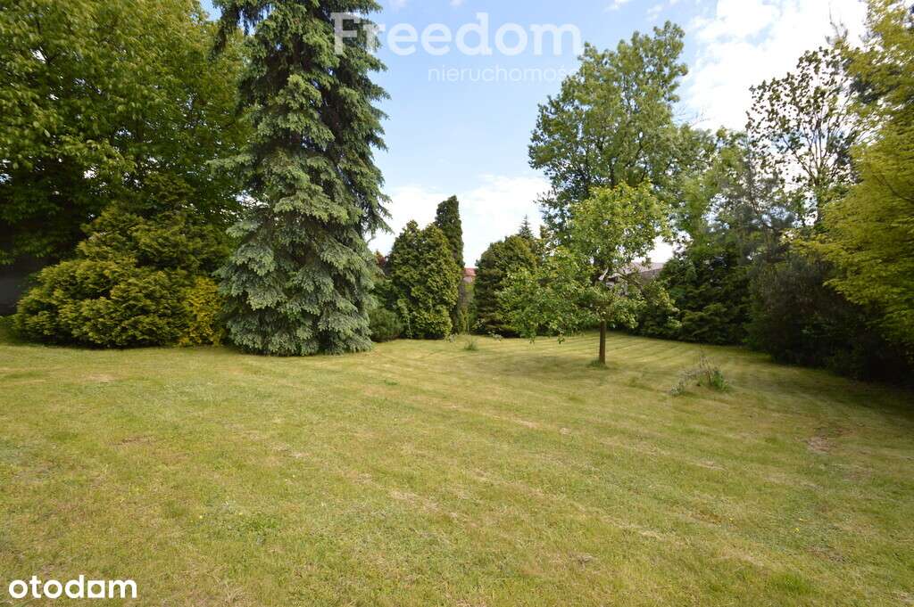 Domek w otoczeniu zieleni, Skomlin - Pełny obrazek: 2/19