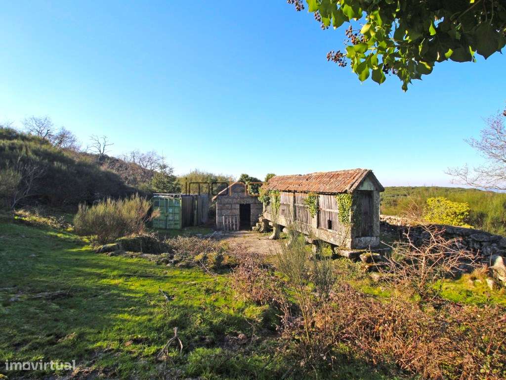 Terreno de 84 hectares-22