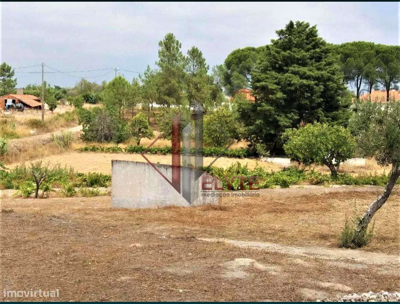 Quinta em Coruche - Grande imagem: 4/12