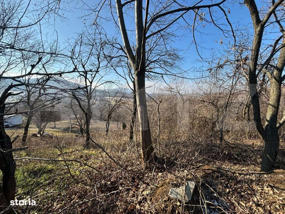 Teren intravilan de vanzare, 17700 mp Zalau - Imagine principală: 2/3