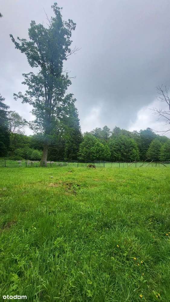 Działka budowlana w Szklarskiej Porebie - Pełny obrazek: 5/5