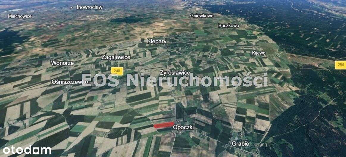 Działka, 30 005 m², Opoczki-1
