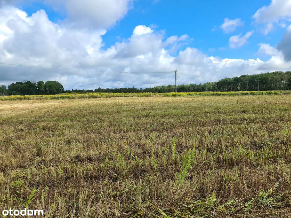 Białuń/Żółwia Błoć, gm. Goleniów - działka z warunkami zabudowy !-3