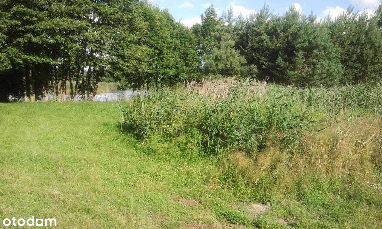 Działka Margonin 586 m² – Uzbrojona z Dostępem do Wody Dom Całoroczny - Pełny obrazek: 5/15