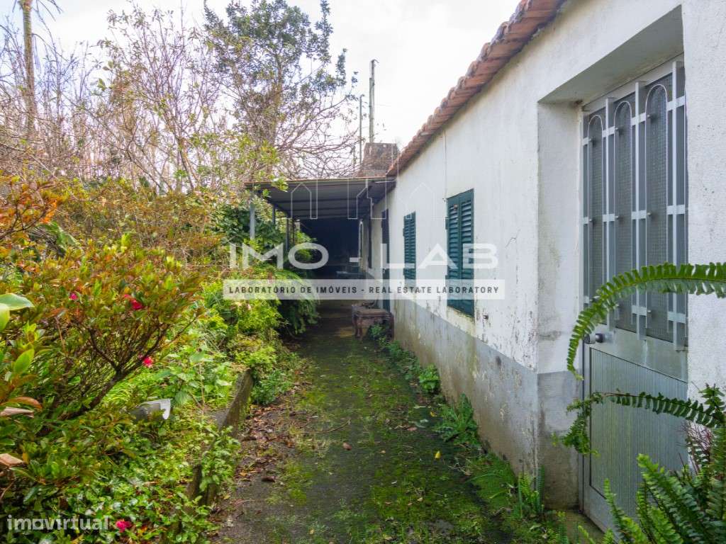 Moradia T2 - Santa - Porto Moniz-19