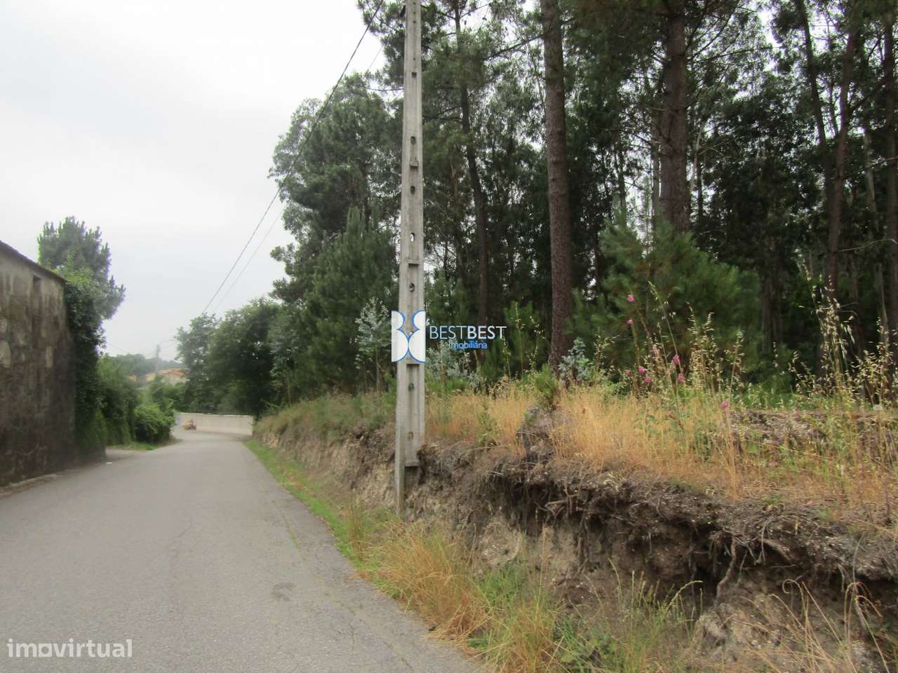 EXCELENTE TERRENO, C/9600 M2, JUNTO Á DIDAX EM CRUZ, FAMALICÃO - Grande imagem: 2/14