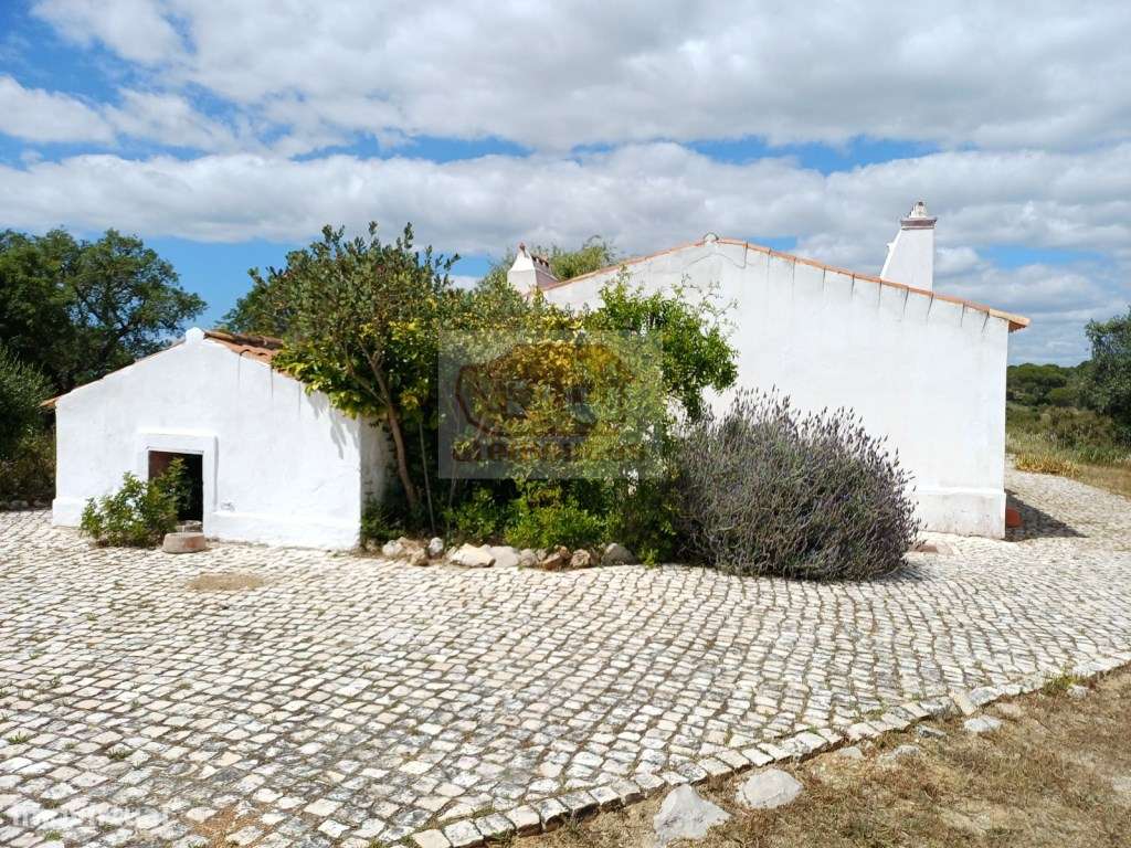 Monte Alentejano - Sul de Melides e 35 minutos da Comporta-15