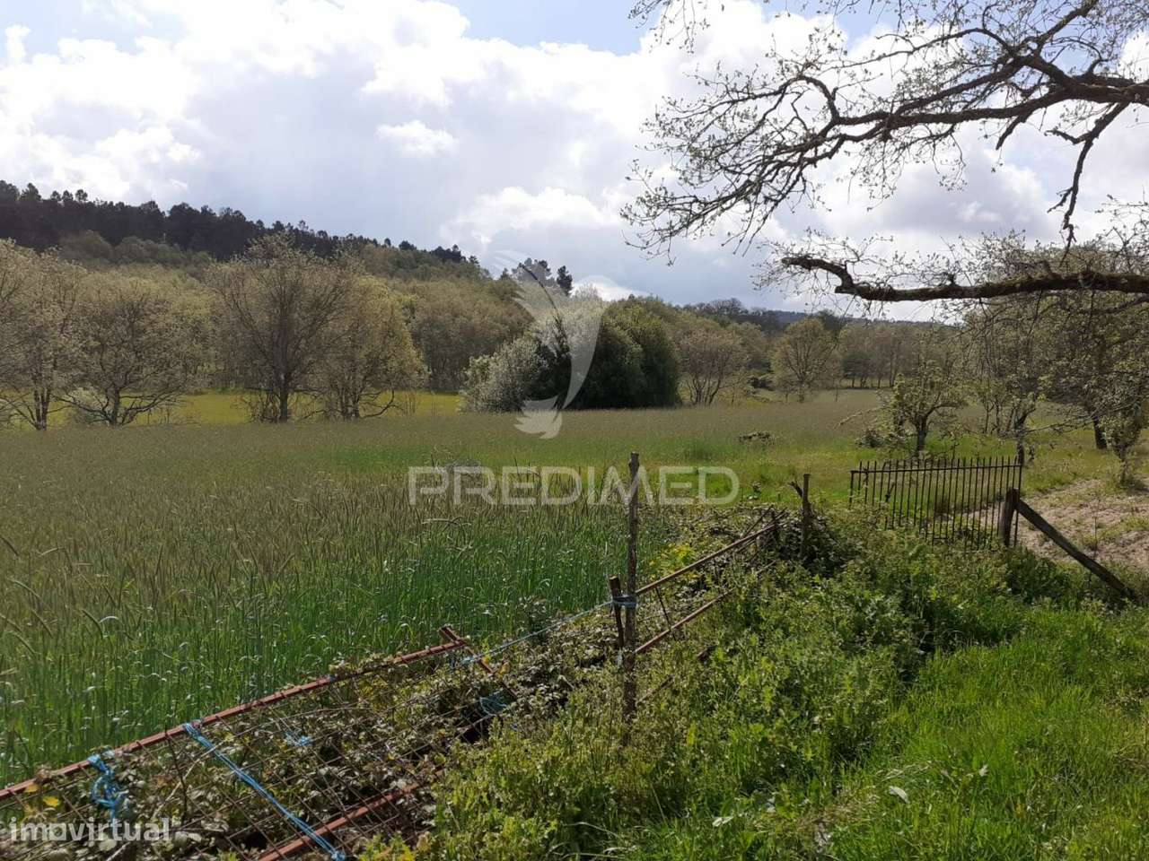 Quinta em local sossegado - Trancoso - Grande imagem: 5/14