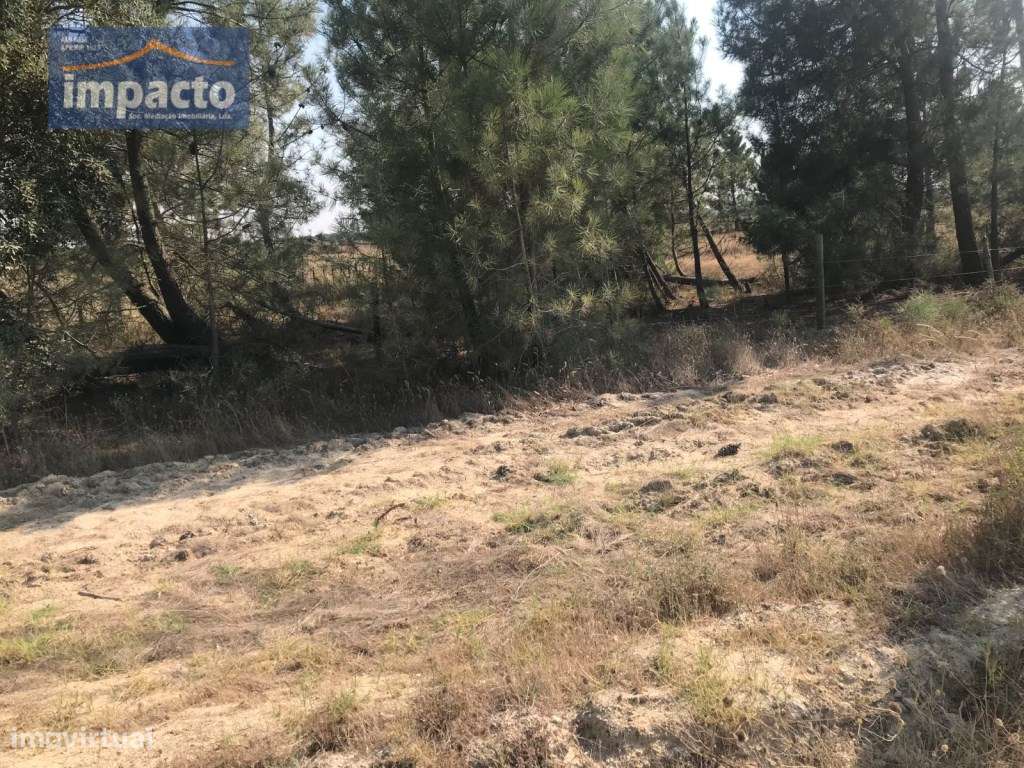 Terreno na Herdade do Zambujeiro - Grande imagem: 5/10