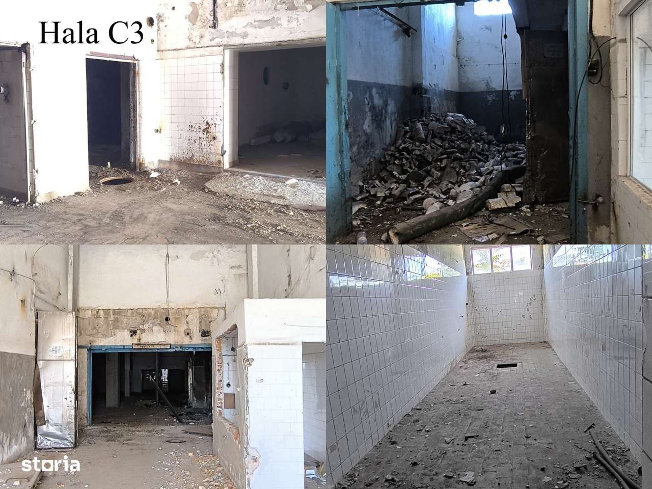 Vand 4 HALE 3500 mp si teren intravilan cu utilitati 15568 mp - Imagine principală: 5/15