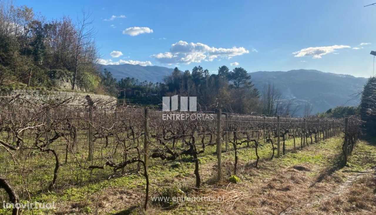 Venda Terreno, Penha Longa, Marco de Canaveses