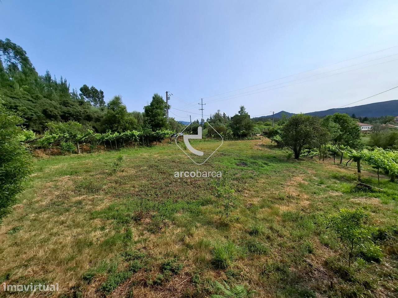 Quintinha ruinas p/restauro com 2520m2 - Moreira Lima - Ponte de Lima-11