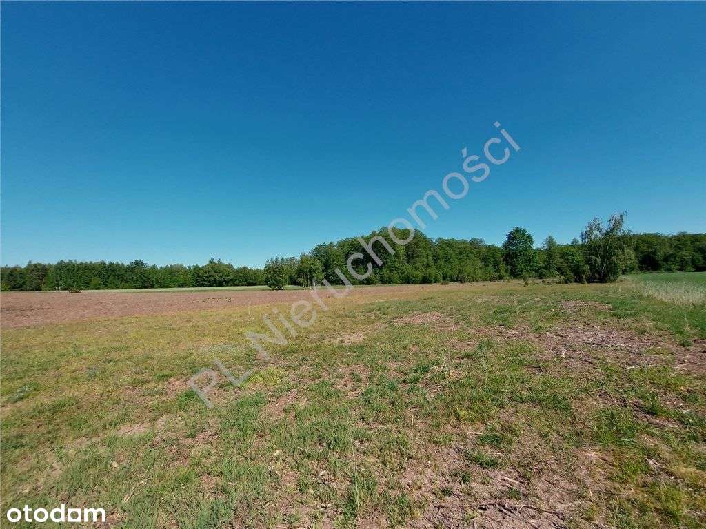 Dogodne Wymiary, Media, Magiczny Widok.-4