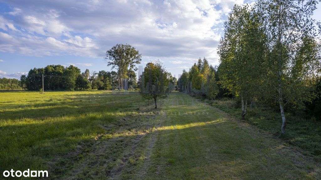 Stare 6,5h siedlisko 5km od Żyrardowa - Pełny obrazek: 5/14