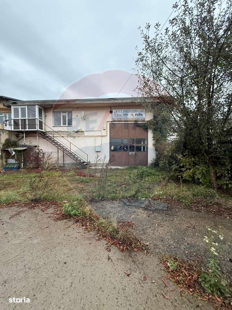 Hala - zona KAUFLAND Burdujeni-0