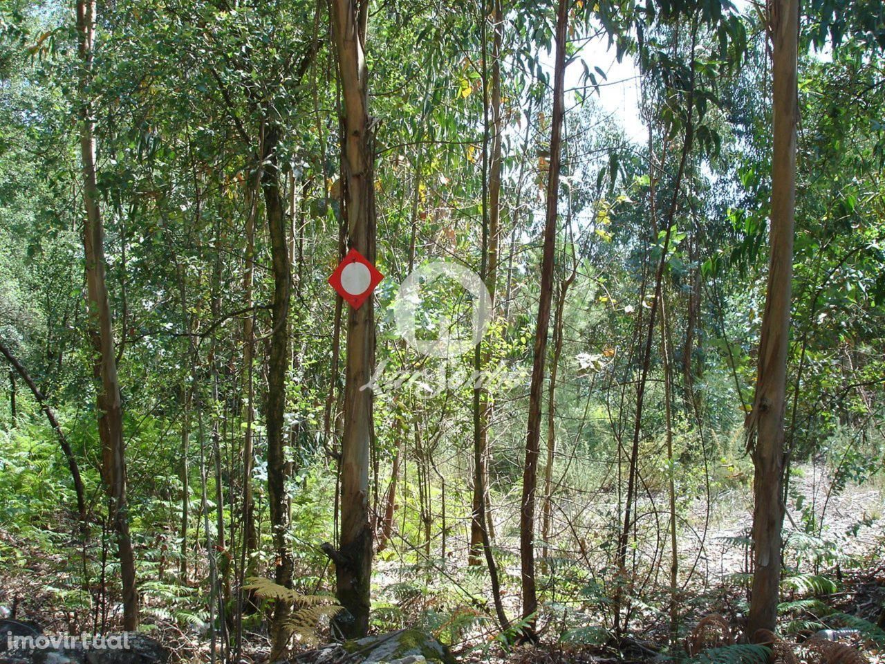 Terreno para construção