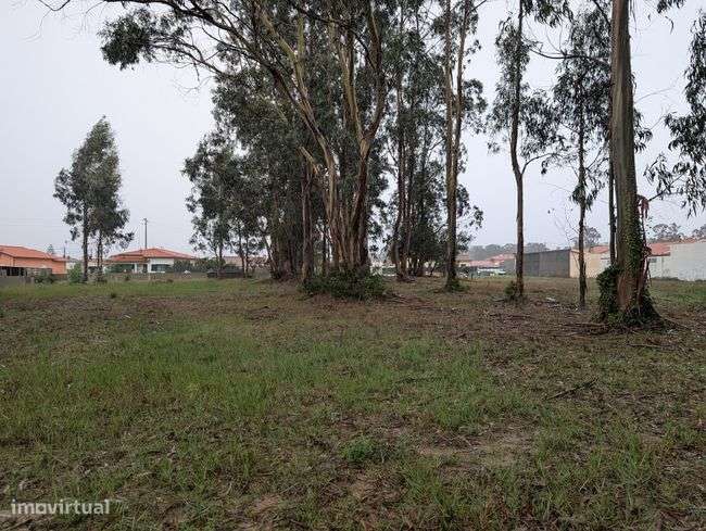 Terreno, 1 800 m², Monte-6