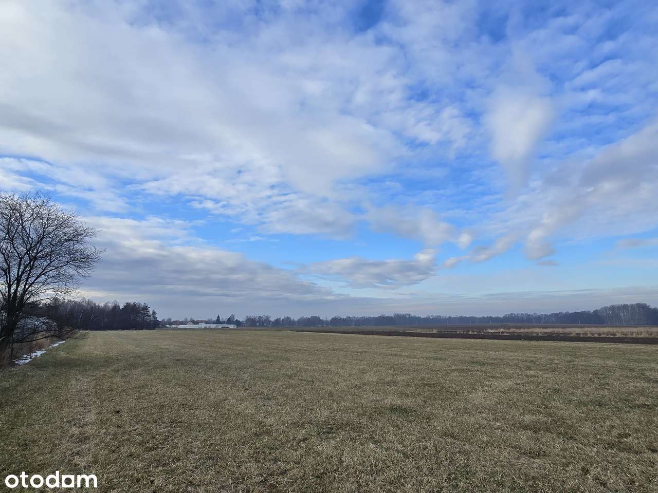 Mikołów Bujaków - piękna cicha okolica-1