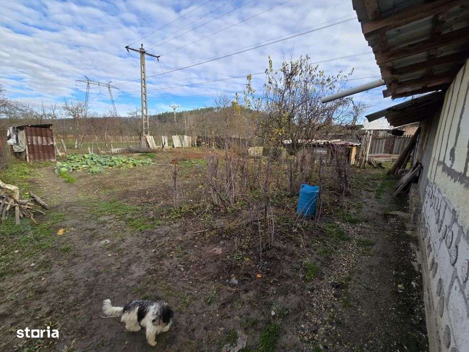 Casa Calinesti, Carstieni-14