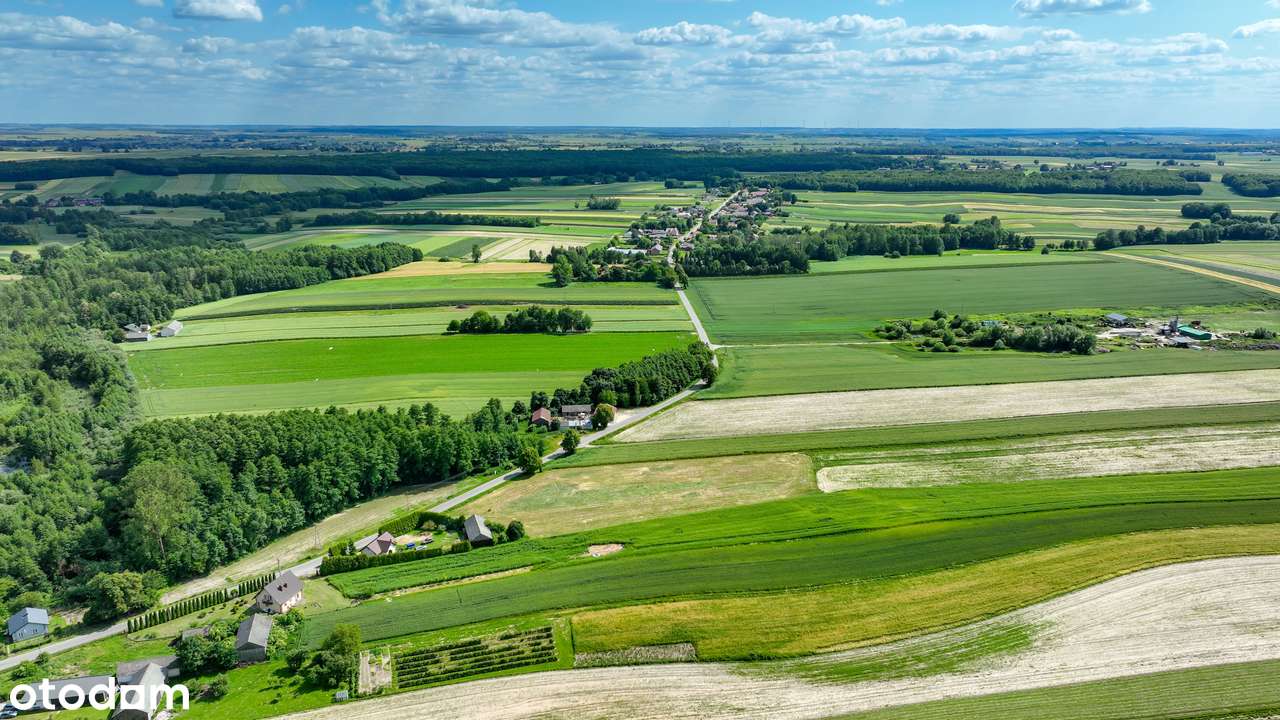 Bezpośrednio, MPZP, cisza, las– idealne pod Twój wymarzony dom => FILM - Pełny obrazek: 5/14
