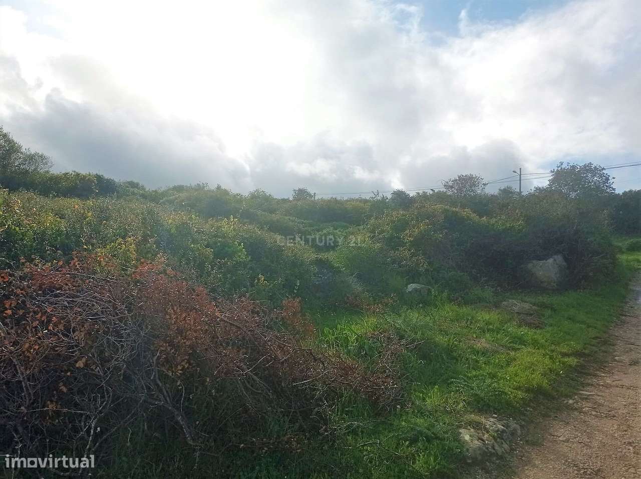 Terreno rústico na Tapada da Serra, Vale de Lobos - Grande imagem: 5/10