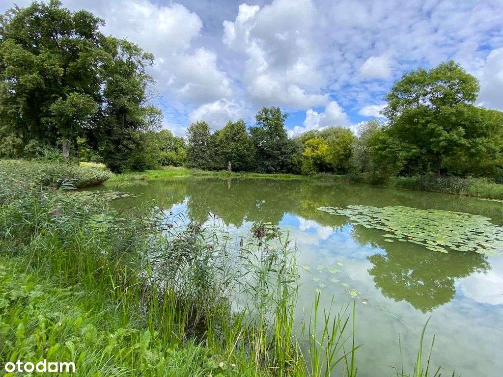 Działka w pięknej okolicy przyrody !!!-4
