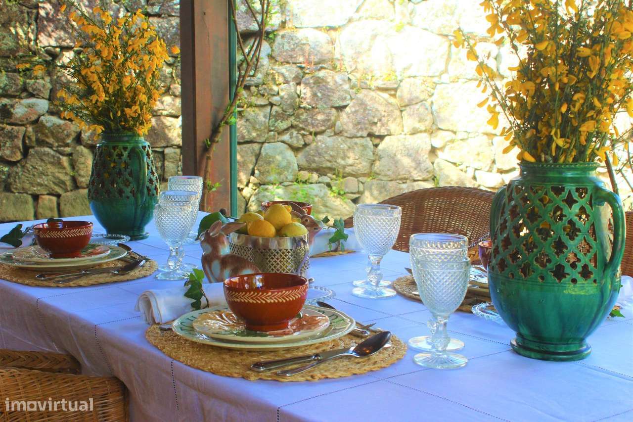 Solar do sec. XVII em Mesquitela, Mangualde-51