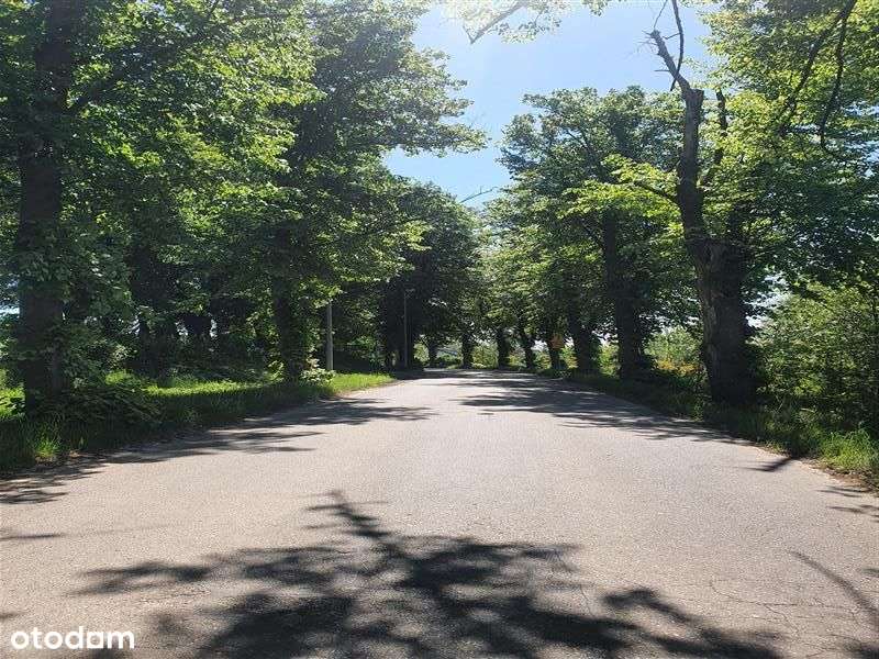 Działka - Koszalin Lubiatowo-2