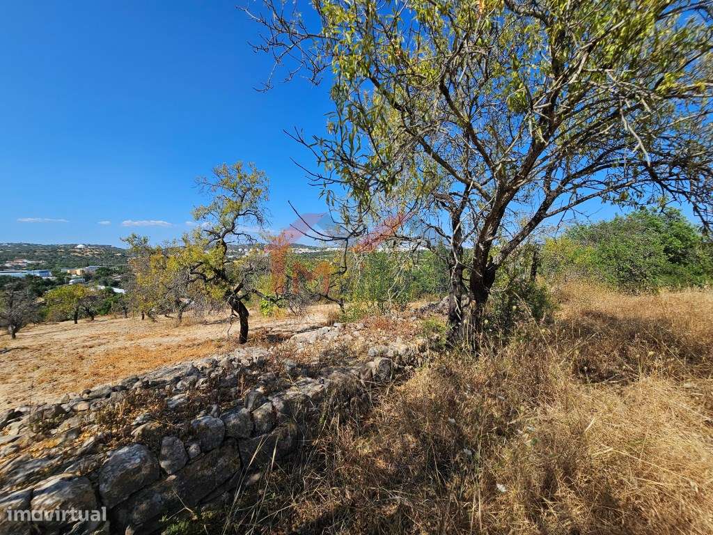 Moradia tradicional V5 para recuperar com terreno de 31.000 m2 - Loulé-15