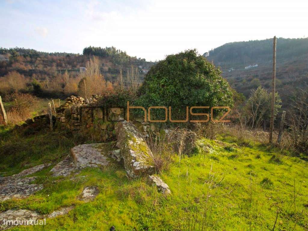 Quinta de 2ha com várias edificações - Terreno Plano-9