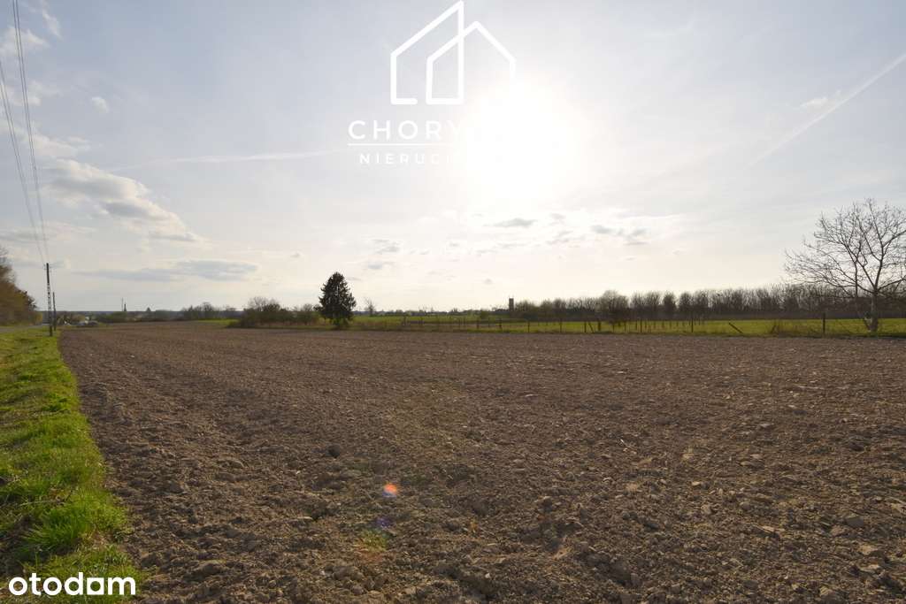 Działka budowlana w Bierutowie -możliwość podziału-15