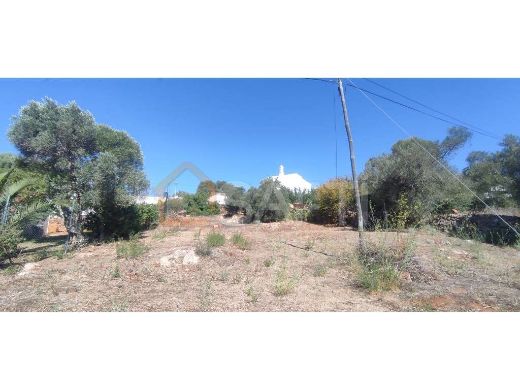 Excelente terreno para construção e investimento - Grande imagem: 3/5