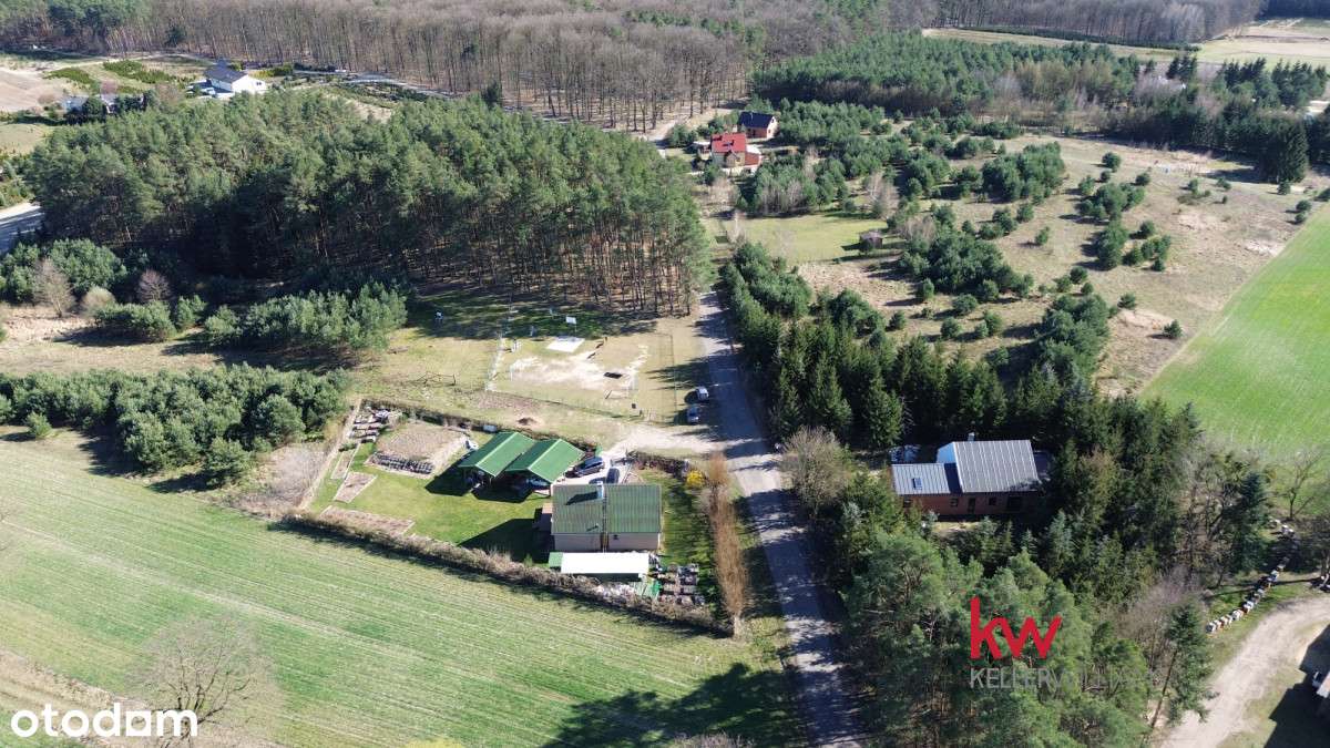 Dom wolnostojący/tuż pod lasem/Łoskoń Stary - Pełny obrazek: 4/5