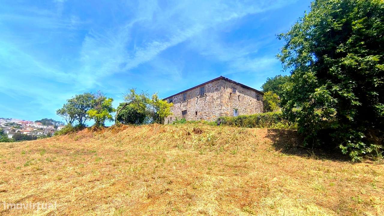 Quinta com 19000 m2 nas margens do Douro-7